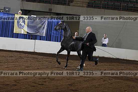 Proof 10r12_3335