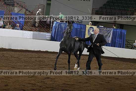 Proof 10r12_3336