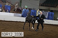 10r12_3336 proof