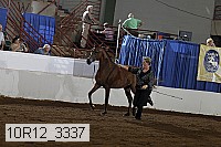 10r12_3337 proof