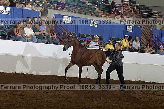 Proof 10r12_3338