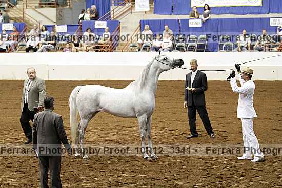 Proof 10r12_3341