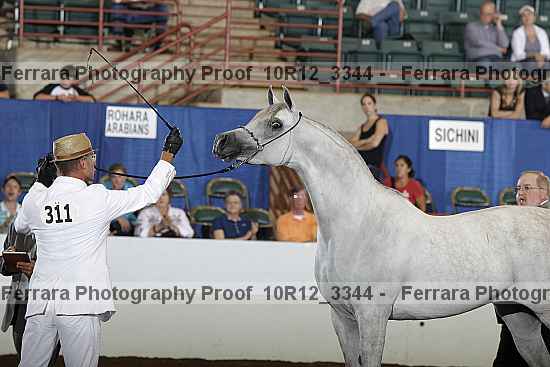 Proof 10r12_3344