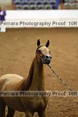 Proof 10r12_3349