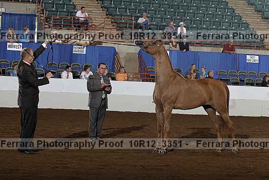 Proof 10r12_3351