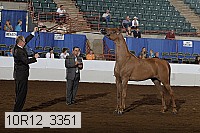 10r12_3351 proof