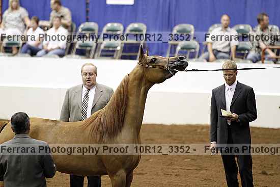 Proof 10r12_3352