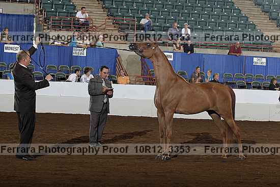 Proof 10r12_3353