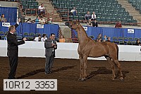 10r12_3353 proof