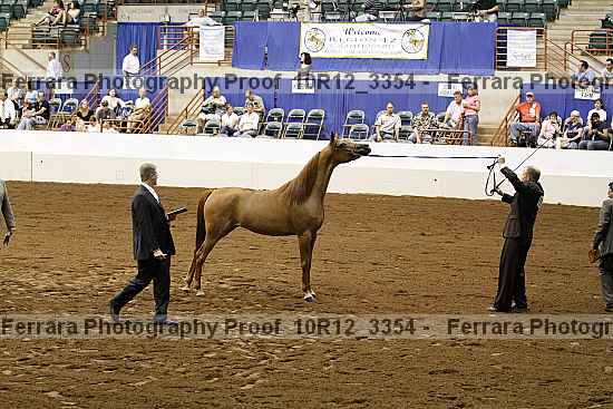 Proof 10r12_3354