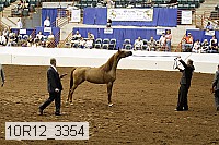 10r12_3354 proof