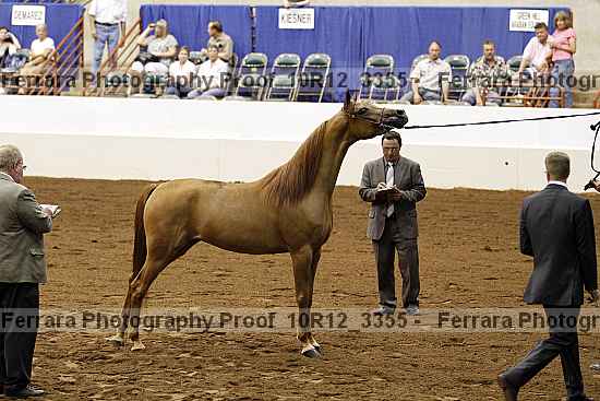 Proof 10r12_3355