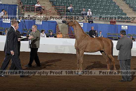 Proof 10r12_3356