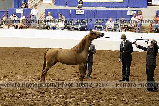 Proof 10r12_3357