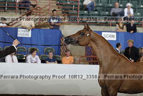 Proof 10r12_3358