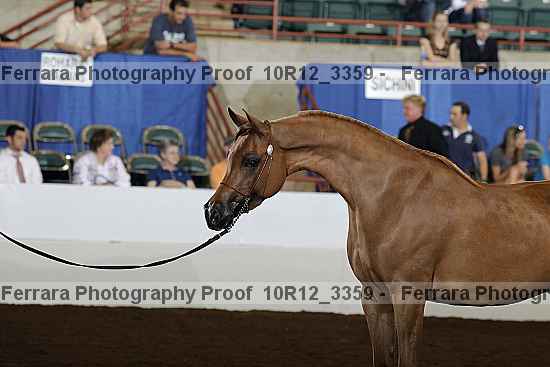 Proof 10r12_3359