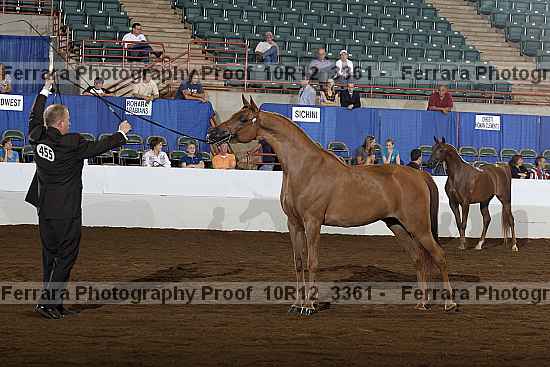 Proof 10r12_3361