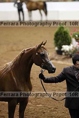 Proof 10r12_3362