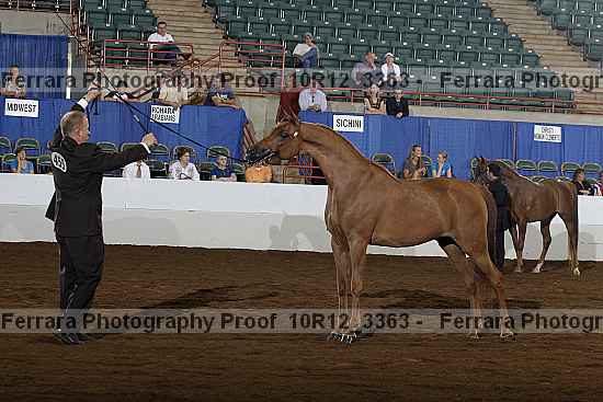 Proof 10r12_3363