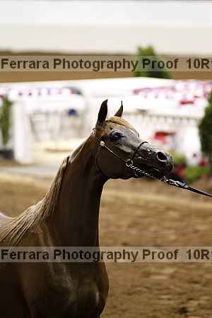 Proof 10r12_3364
