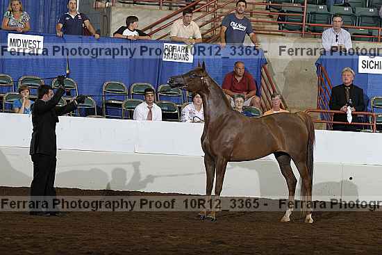 Proof 10r12_3365