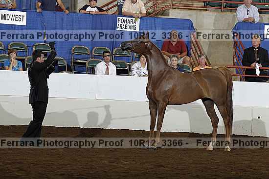 Proof 10r12_3366
