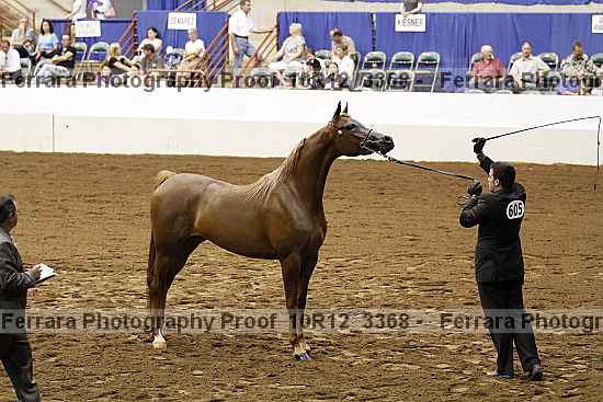 Proof 10r12_3368