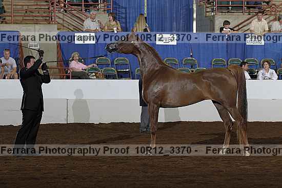 Proof 10r12_3370