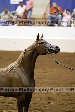 Proof 10r12_3371