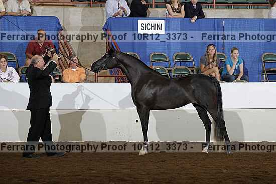 Proof 10r12_3373