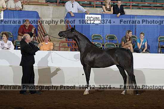 Proof 10r12_3374