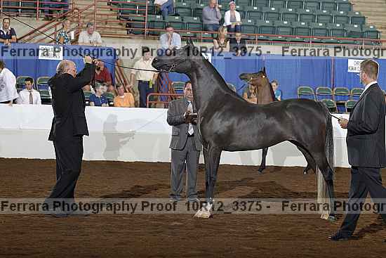 Proof 10r12_3375