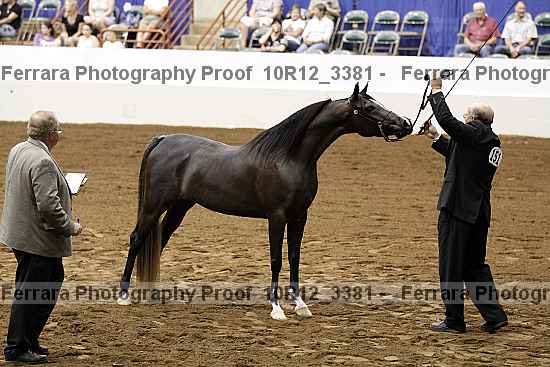 Proof 10r12_3381