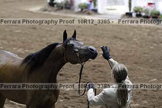 Proof 10r12_3385