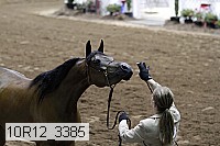 10r12_3385 proof