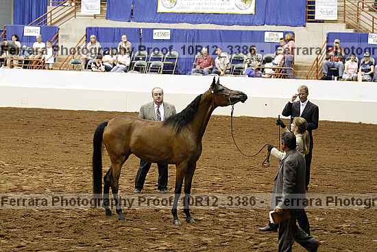 Proof 10r12_3386