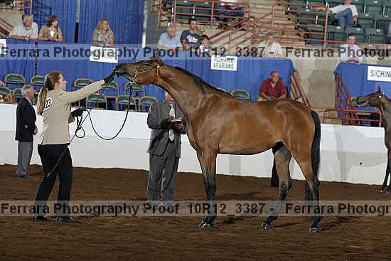 Proof 10r12_3387