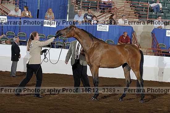 Proof 10r12_3389