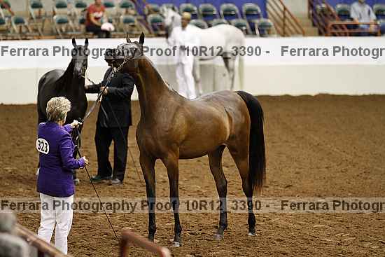 Proof 10r12_3390