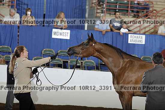 Proof 10r12_3391
