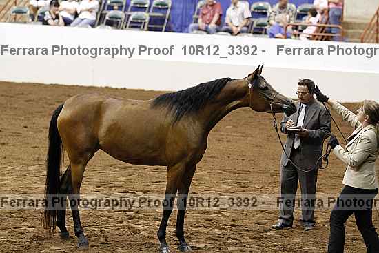 Proof 10r12_3392