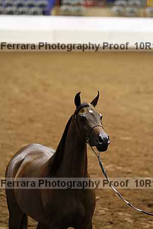 Proof 10r12_3395
