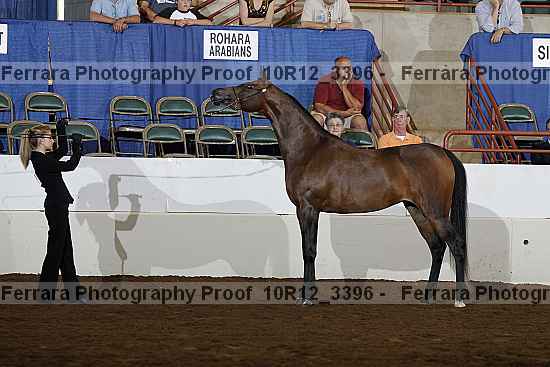Proof 10r12_3396