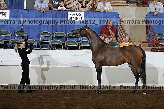 Proof 10r12_3397