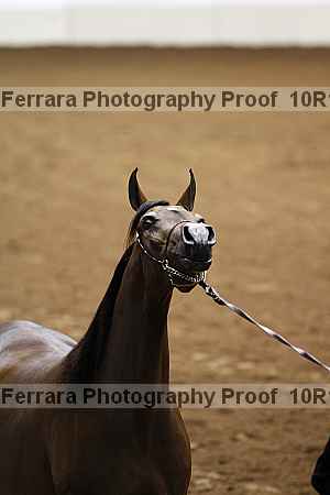 Proof 10r12_3398