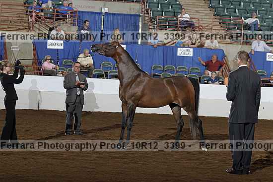 Proof 10r12_3399