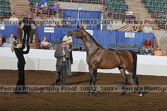 Proof 10r12_3401