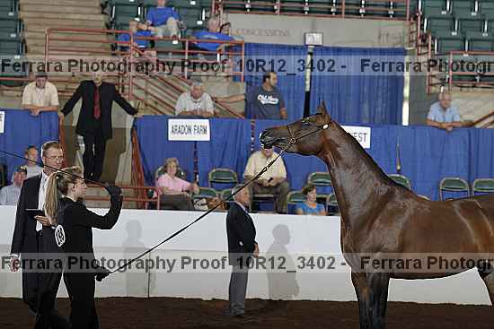 Proof 10r12_3402