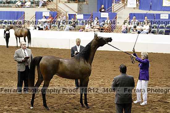 Proof 10r12_3404