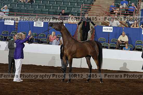 Proof 10r12_3405